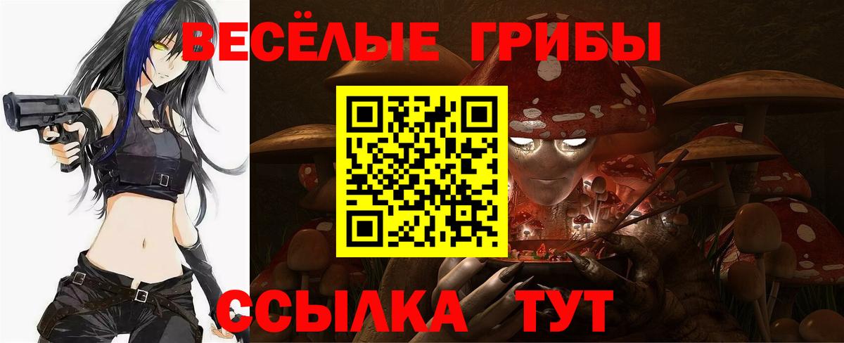 Псилоцибиновые грибы Cubensis  Вход с VPN  Заринск 
