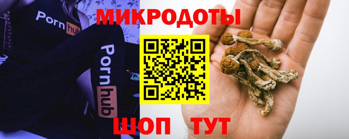 Галлюциногенные грибы Magic Shrooms Заринск